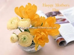 Mothers Day Flowers UK